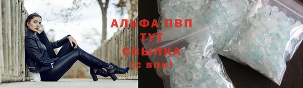 трава Новокубанск