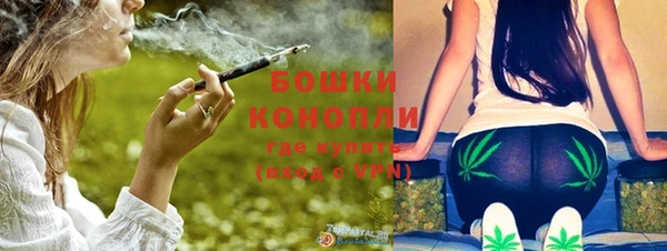 метадон Новодвинск