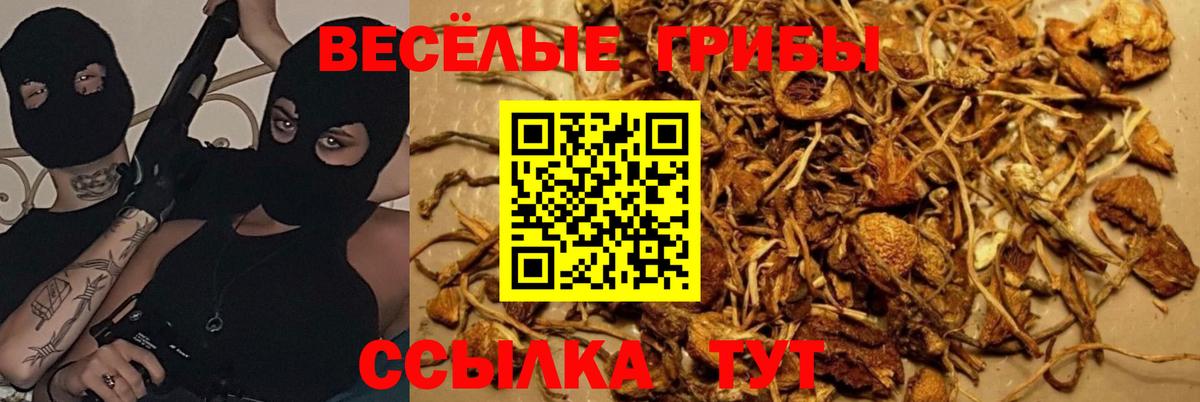 Галлюциногенные грибы мухоморы  Галлюциногенные грибы прущие грибы  Вход с VPN  Орск 